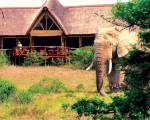 Bush Lodge- Amakhala Game Reserve