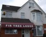 Fir Tree Lodge Hotel - Guest House