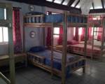 Bed And Breakfast Tikehau - Hostel