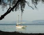 Harbour Inn Corfu