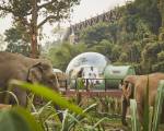 Anantara Golden Triangle Elephant Camp & Resort- SHA Extra Plus