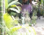Palm Garden Lodge