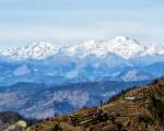 Whispering Pines Himalayan Retreat