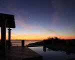 Artist's Villa Red Rose