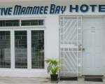 Executive Mamme Bay Hotel and Conference