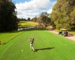 cluBarham Golf Resort