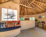 Umlani Bushcamp - Lodge