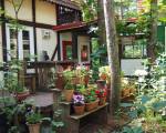 The squirrel's guesthouse Canterbury