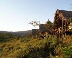 Crater Forest Tented Camp