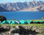 TIH Pangong Delight Camps and Cottages